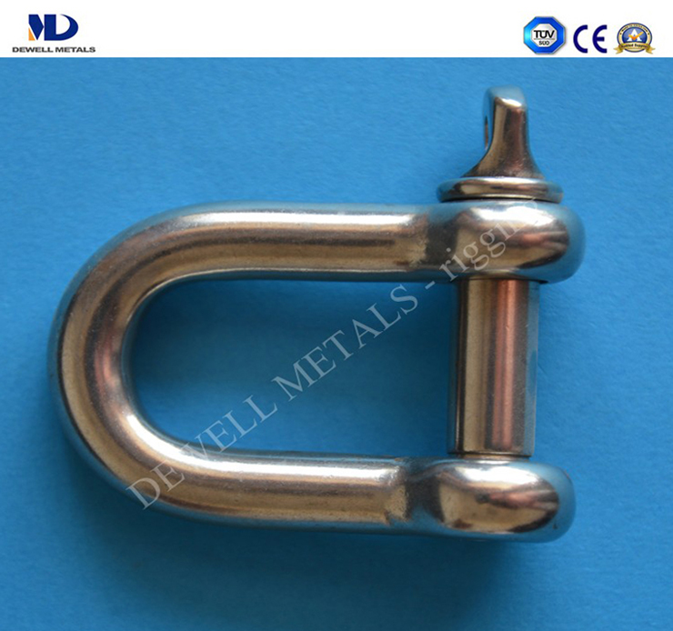 ART.17-1 STAINLESS STEEL DEE SHACKLE