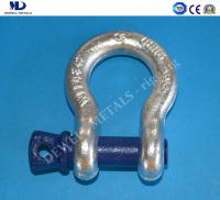 ART.1-2 Drop Forged Bow Shackles G209 W/Screw Collar Pin Conformed to U.S.Federal Specification